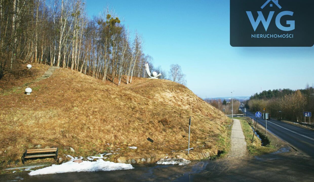 Kurzętnik10